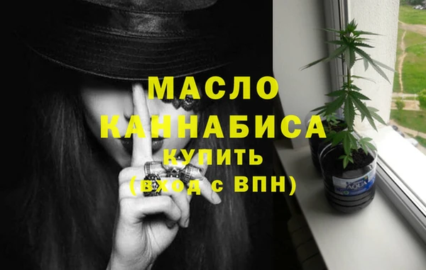 дживик Краснослободск