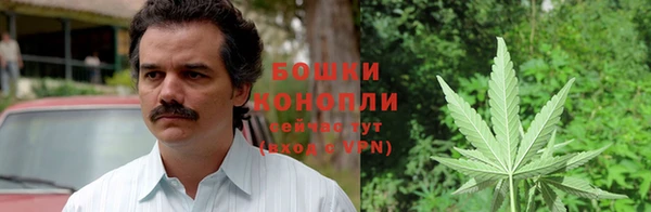 ПСИЛОЦИБИНОВЫЕ ГРИБЫ Куйбышев