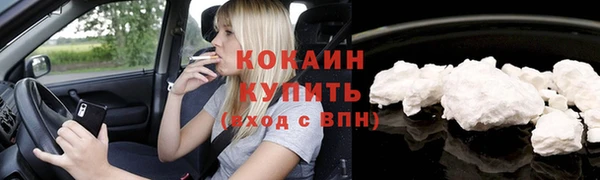 мяу мяу мука Коряжма